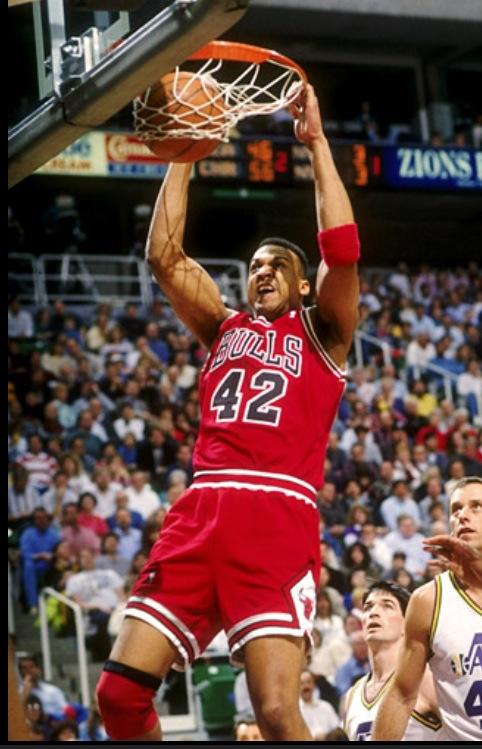 scott williams dunk 